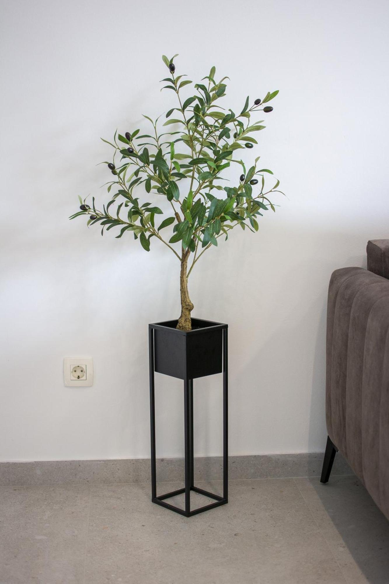 Apartment San Salvatore Sweet